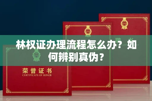 厦门林权证办理流程怎么办?如何辨别真伪?
